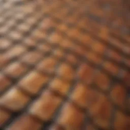 Close-up view of a turtle shell roofing system showcasing its unique curvature and texture.
