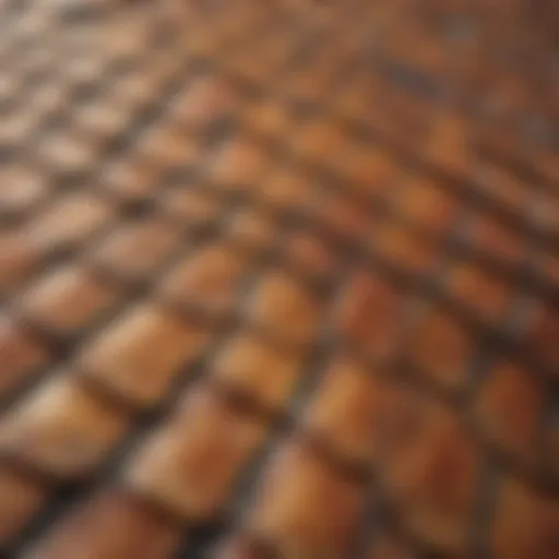 Close-up view of a turtle shell roofing system showcasing its unique curvature and texture.
