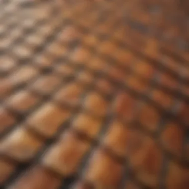 Curvature and Texture of Turtle Shell Roofing Close-up view of a turtle shell roofing system showcasing its unique curvature and texture.